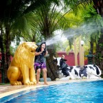 DASthailand 169 DASthailand 169