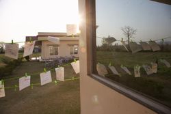 Drawings pegged on green lines across a garden, lit by low sun. Rishikesh, India, 2012.