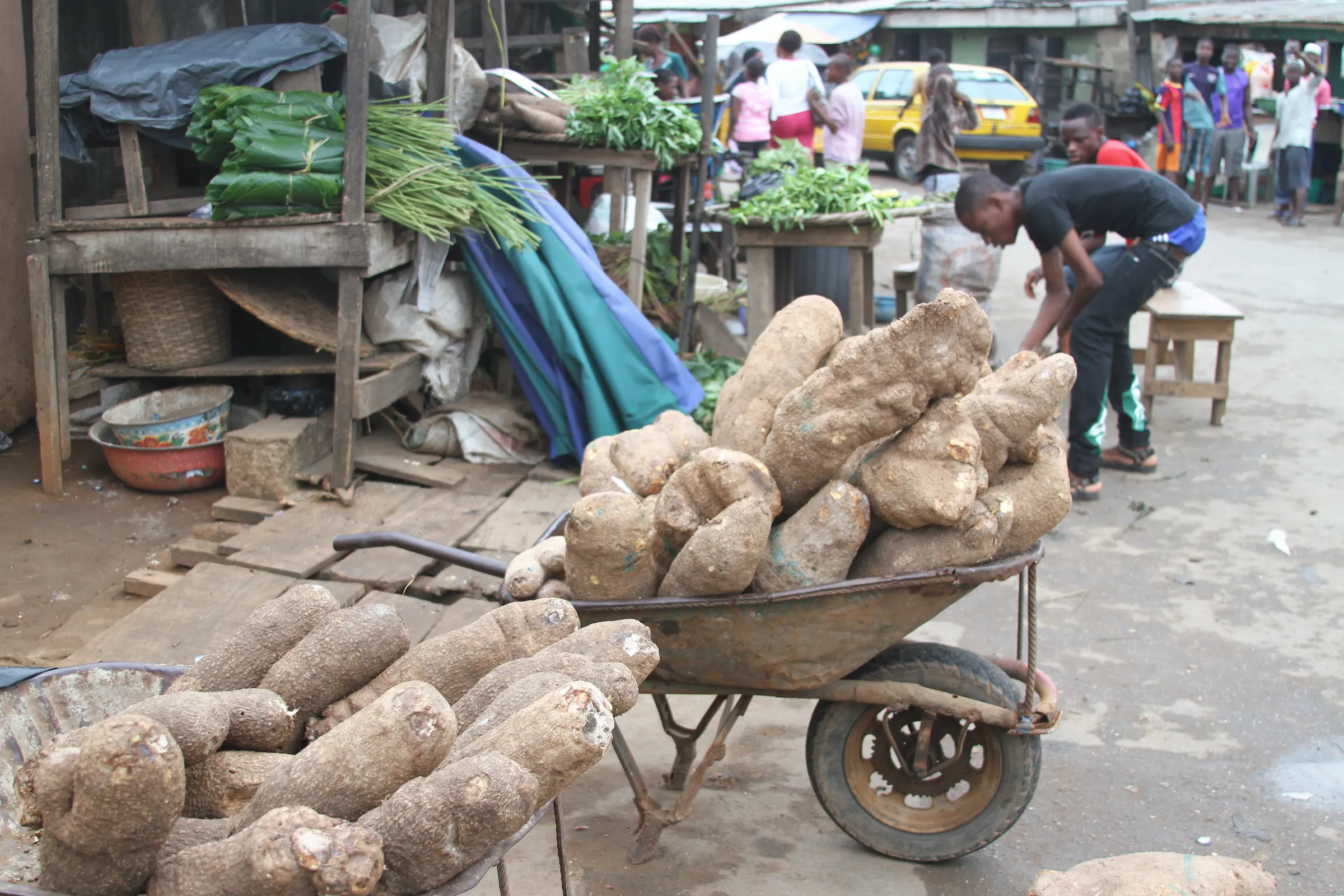 A wheelbarrow of large roots at a market.