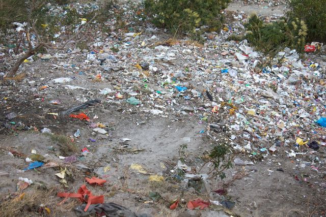 Photo from the original post "Photo Rally India Results", 2011.
